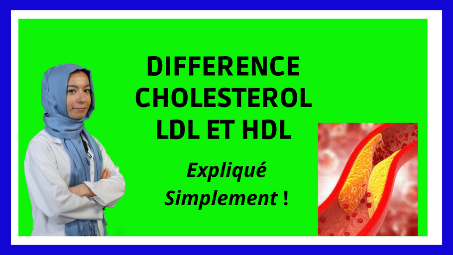 Quelle différence entre le cholestérol LDL et HDL : Explication simple !