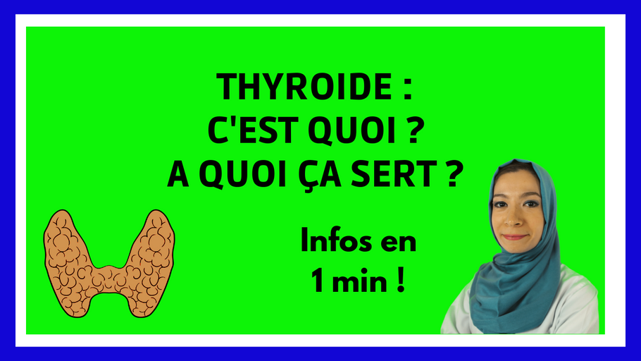 Quel est le rôle de la thyroïde ?