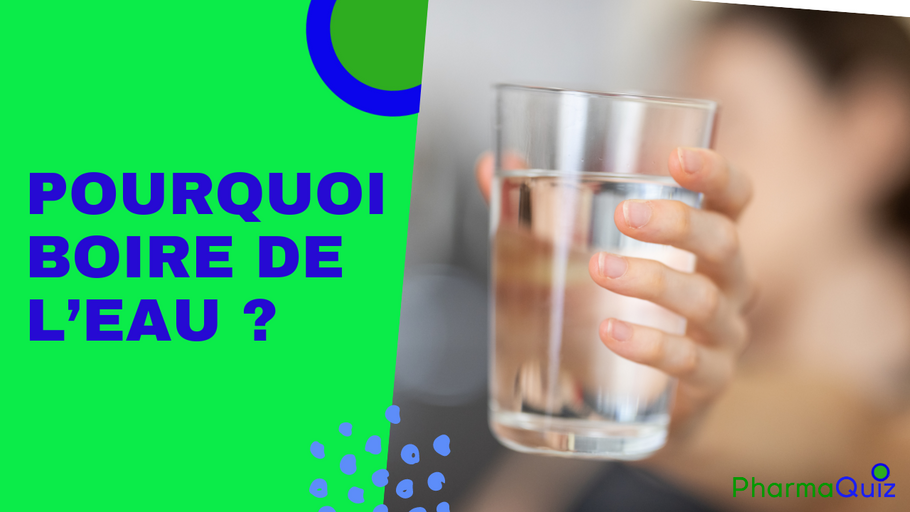 Comment bien s’hydrater : l’importance de l’eau pour votre corps