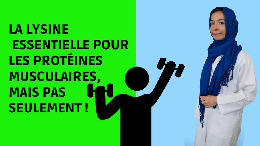 La LYSINE : un acide aminé essentiel pour les PROTEINES MUSCULAIRES, mais pas seulement !