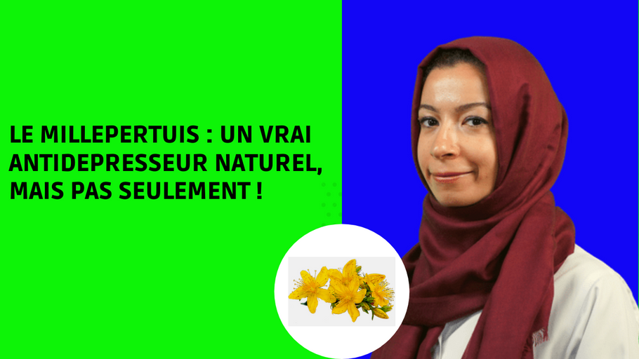 Le MILLEPERTUIS, un vrai antidepresseur naturel, mais pas seulement !