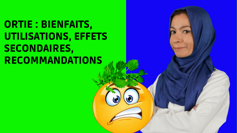ORTIE : Bienfaits, utilisations, effets secondaires et recommandations en 5 min !