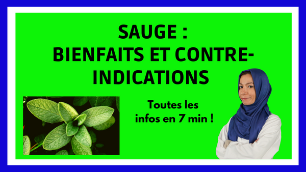 sauge bienfaits sauge contre-indication plante digestion sauge effet secondaire huile essentielle sauge