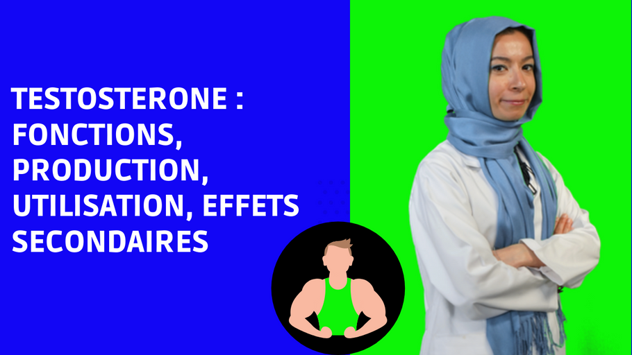 Testosterona: roles, producción, falta, suplementación