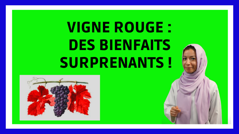 Vigne Rouge : bienfaits des feuilles, des fruits et des pépins de raisins rouges
